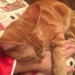 Stacey McCarty - @ederyseren_hisuamo49 - Instagram