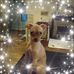 Stacey Mccarty - Facebook