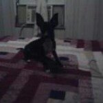 Stacey Mccarty - @spaystay - Instagram