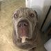 Stacey McGraw - Facebook