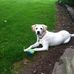 Stacy McGraw - Facebook
