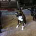 Stacey McQueen - Facebook
