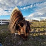 Stacey Meyer - @stacmey - Instagram