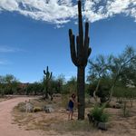 Stacey Meyer - @smeyer78 - Instagram
