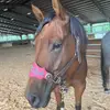 StaceyMeyer - @staceymeyer21 - TikTok