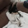 staceyminor349 - @staceyminor349 - TikTok