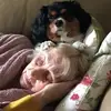 staceyminton7 - @staceyminton7 - TikTok