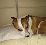 Stacey Mobbs - Facebook