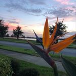 Stacey Moser - @stac_moser - Instagram