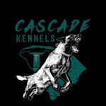 Stacey Neal - @cascade_malinois - Instagram