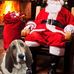 Stacey Neal - Facebook