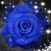 Stacey Neal - Facebook
