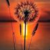 Stacy Niles - Facebook