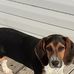 Stacie Osgood - Facebook