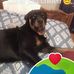 Stacy Overturf - Facebook
