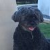 Stacey Cash Pickard - Facebook