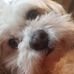 Stacey Pittman - Facebook