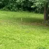 Stacey Poe - @stacey.poe1 - TikTok