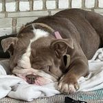 Stacey Pollock - @takeme2_chunkytown - Instagram