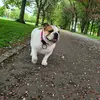 Stacey Pollock - @staceypollock4 - TikTok