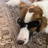 Stacey_Putman - @sendbooksnmargs - TikTok