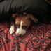 Stacey Putnam - Facebook