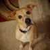 Stacy Putnam - Facebook