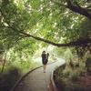 Stacey Randell - @staceyrandell740893 - TikTok
