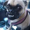 staceyreamer7 - @staceyreamer7 - TikTok