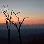 Stacey Remick - @sremicks - Instagram