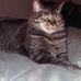 Stacey Remick - Facebook