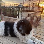 Stacey Rothman Erisman - @staceyerisman - Instagram