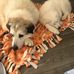 Stacey Ruff - Facebook