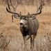 Rob Stacy - Facebook