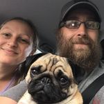 Mrs Stacey Salter - @staceyasalter - Instagram