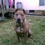 Stacey Sampson - @djenterprise69 - Instagram