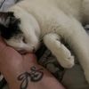 Stacey Sands386 - @staceysands1 - TikTok