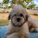 Stacey Santo - @santo_5 - Instagram