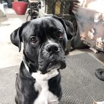 Stacey Sawyer - @staceysawyer5 - Instagram