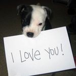 Stacey Sawyer - @stacey22661 - Instagram