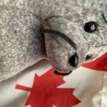 Stacey the Seal - @staceytheseal - Instagram