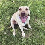 stacy sessions!!!! - @pre.ttysimple - Instagram