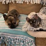 Stacy Shafer - @stacyshafer - Instagram