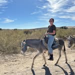 Stacey Shepard - @stacey.m.shepard - Instagram