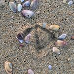 Stacey Shoemaker - @wrinklebear63 - Instagram
