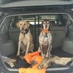 Stacey Sipe Smith - @stacey.s.smith.5 - Instagram