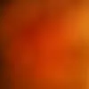 staceyskaggs1 - @staceyskaggs1 - TikTok