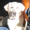 WhitetailMaMa - @staceyslagle - TikTok