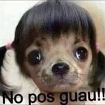 Stacey Solis - Facebook