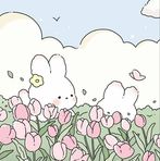 Stacey Solis - Facebook